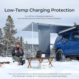 Rover Li 20 Amp MPPT Solar Charge Controller