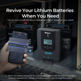 Rover Li 20 Amp MPPT Solar Charge Controller